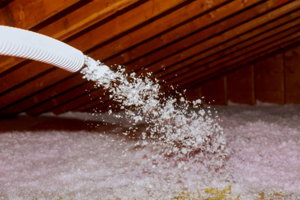 Best Insulation Maintenance and Repair in Apollo Beach, FL